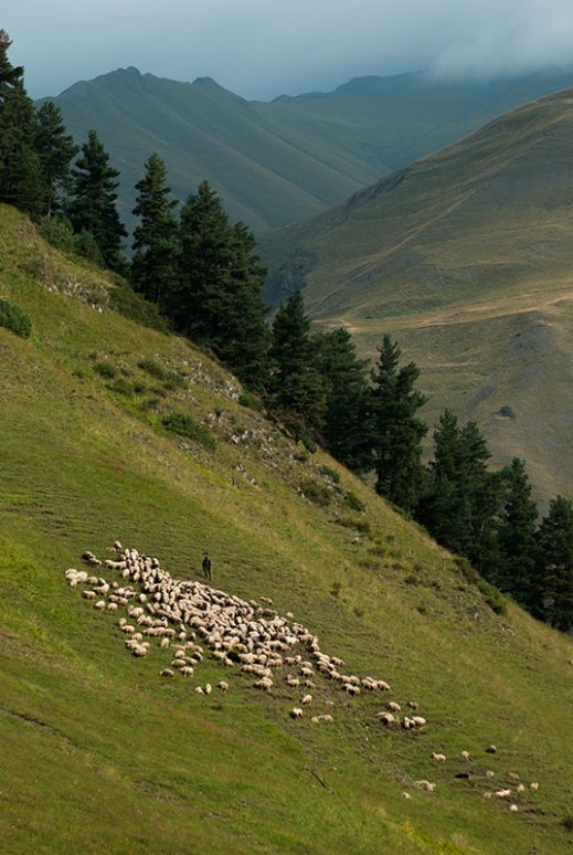 Tushetis Alazani Valley, near Verkhovani, Kakheti Region, Georgia